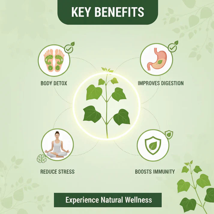 Herbal Giloy Patches 🌿✨ (Buy 1 Get 1 Free🔥🔥)